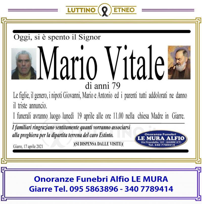 Mario  Vitale 